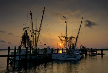 $dock at port royal,sc resized.webp
