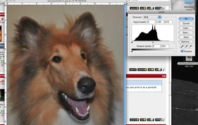 $Picture-1.webp