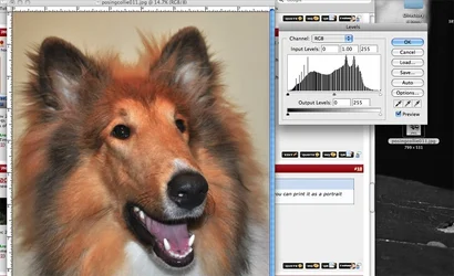$Picture-2.webp