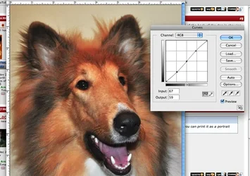 $Picture-3.webp
