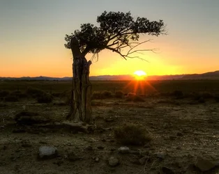$desert.webp $desert.webp