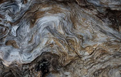 $wood 27 at clam beach.webp