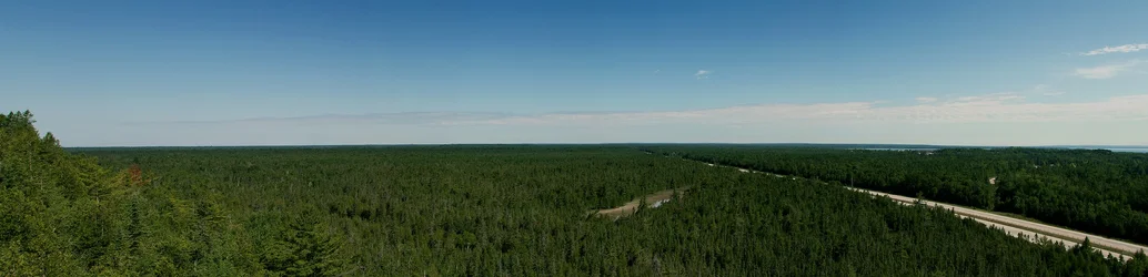 $Untitled_Panorama1.webp