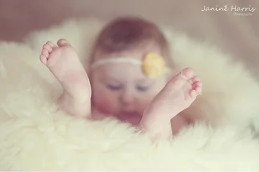 $image-231944909.webp