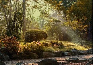$Surreal Light 2.webp