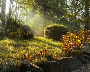 $Surreal Light 1 Edit- Web Version.webp