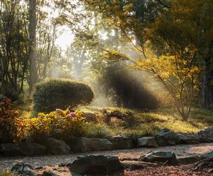 $Surreal Light 2 Edit- Web Version.webp