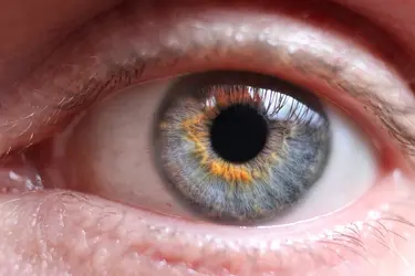 $eye.webp