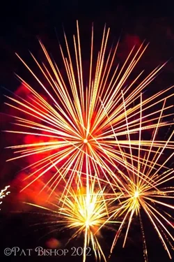 $fireworks1-2210 (Medium).webp