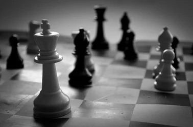 $chessmen_by_animaniac888-d56hznj.webp