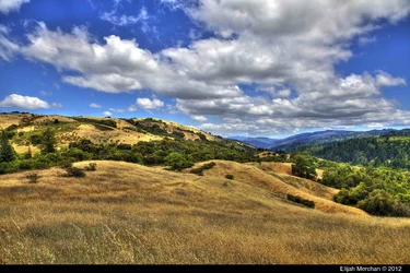 $IMG_0253 HDR.webp