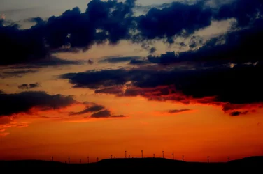 $windmills.webp