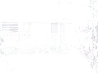 $100_7512.webp $100_7512.webp