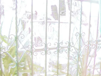 $100_7514.webp $100_7514.webp