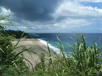 $kauaijuly2011.webp