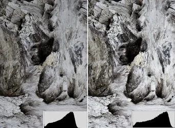 $low_contrast.webp