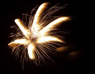 $Fireworks _web1_edited-1.webp