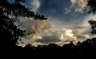 $Clouds with Tree Silhouette 2- Web Version.webp