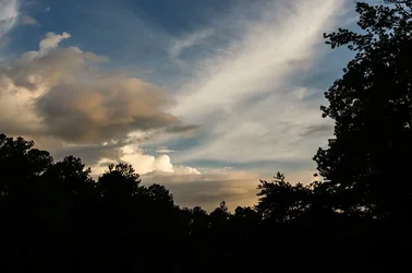 $Clouds with Tree silhouette- Web Version.webp