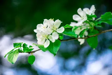 Erwin-150519-3849.webp