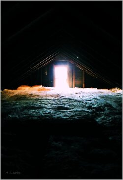 attic.jpgsig.jpg