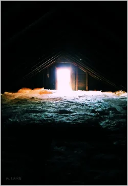 attic.jpgsig.webp