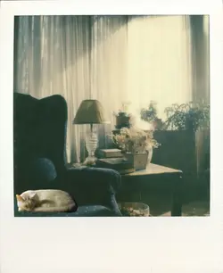 Reading nook with Zelda.webp
