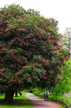 9460995.webp