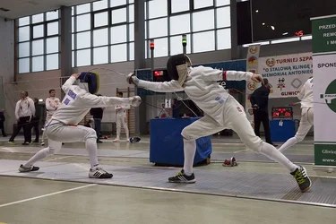 testFencing.webp