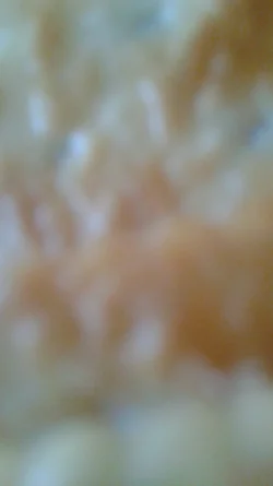 20160318_145547.webp