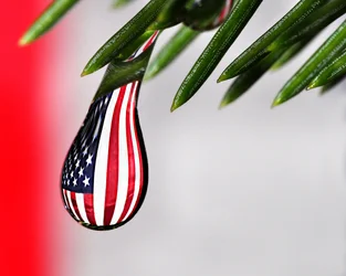 DROP OF FREEDOM EDIT .webp