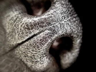 P3290024.webp