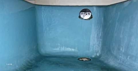 tub sig.webp