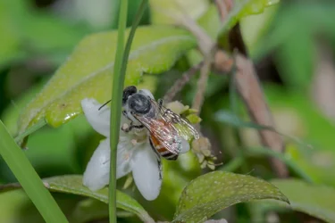 Macro -32.webp