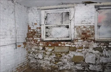 basement window.jpgsigg.webp