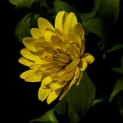 26356417376_11683f861c_b.webp