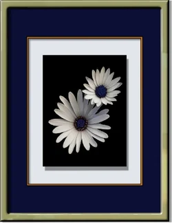 framed flowers ED.webp