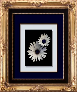 framed flowers ED 2.webp
