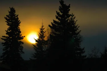 AK Summer nighttime-2.webp
