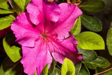26556759515_8d7b8fe7b1_b.webp