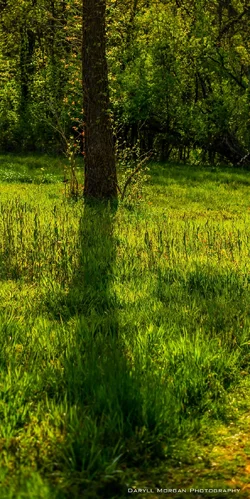 DSC_2926-2.webp