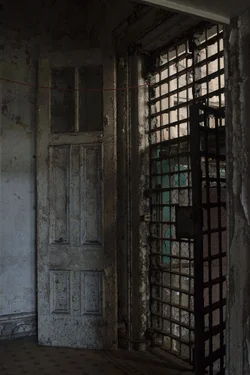 Doors.webp Doors.webp