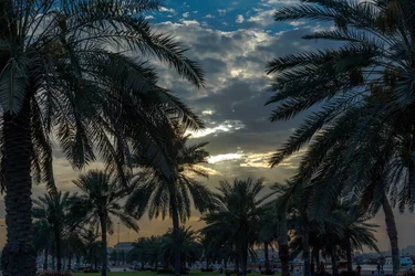 Corniche -13.webp