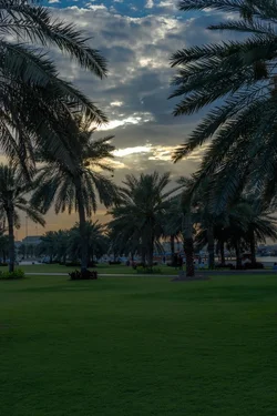 Corniche -14.webp