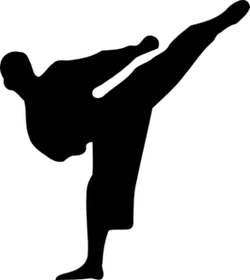 karate-kick-silhouette-md.webp