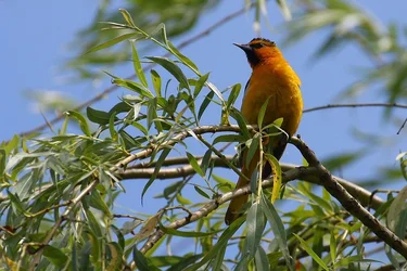 IMG_1984 crop.webp