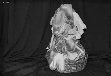 BW socks sig.webp