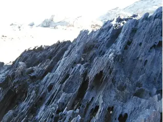 roca.webp