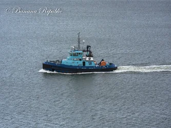 Cobh_.webp