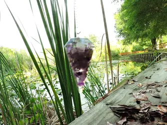 DSCN7879.webp